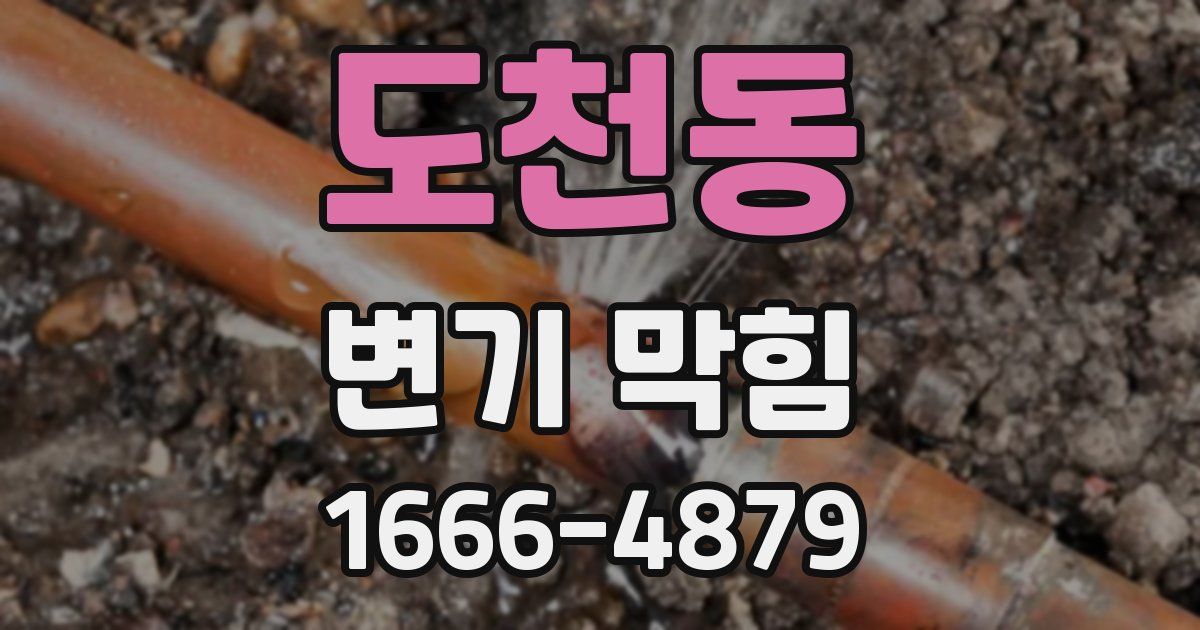 도천동 변기 막힘