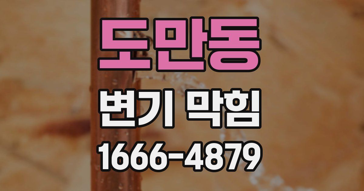 도만동 변기 막힘