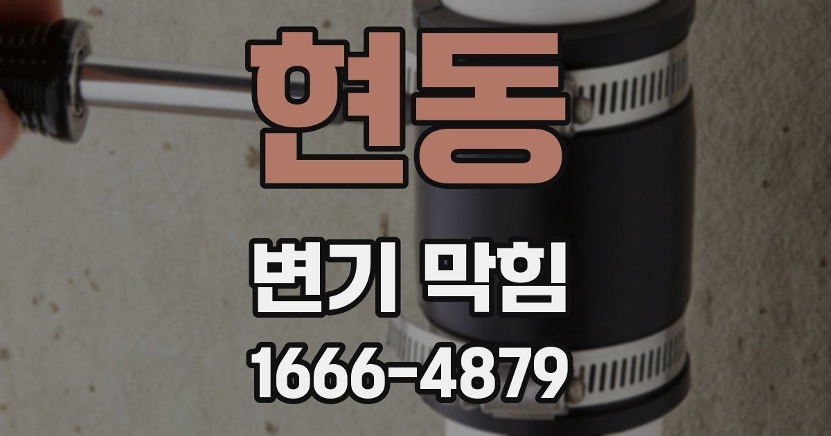 현동 변기 막힘