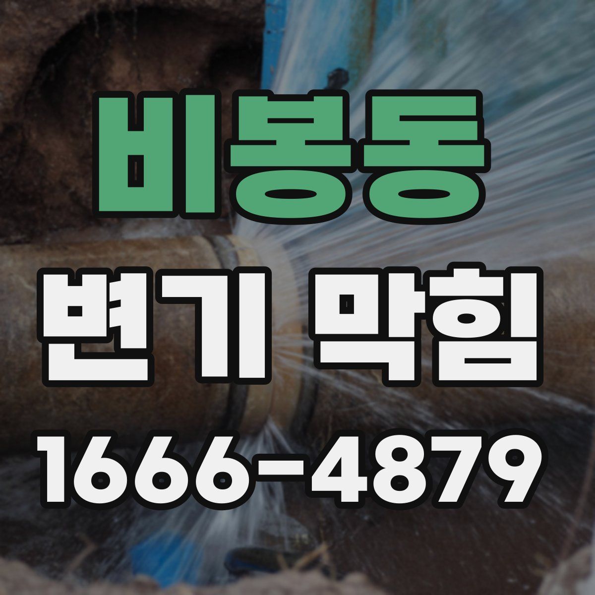 비봉동 변기 막힘