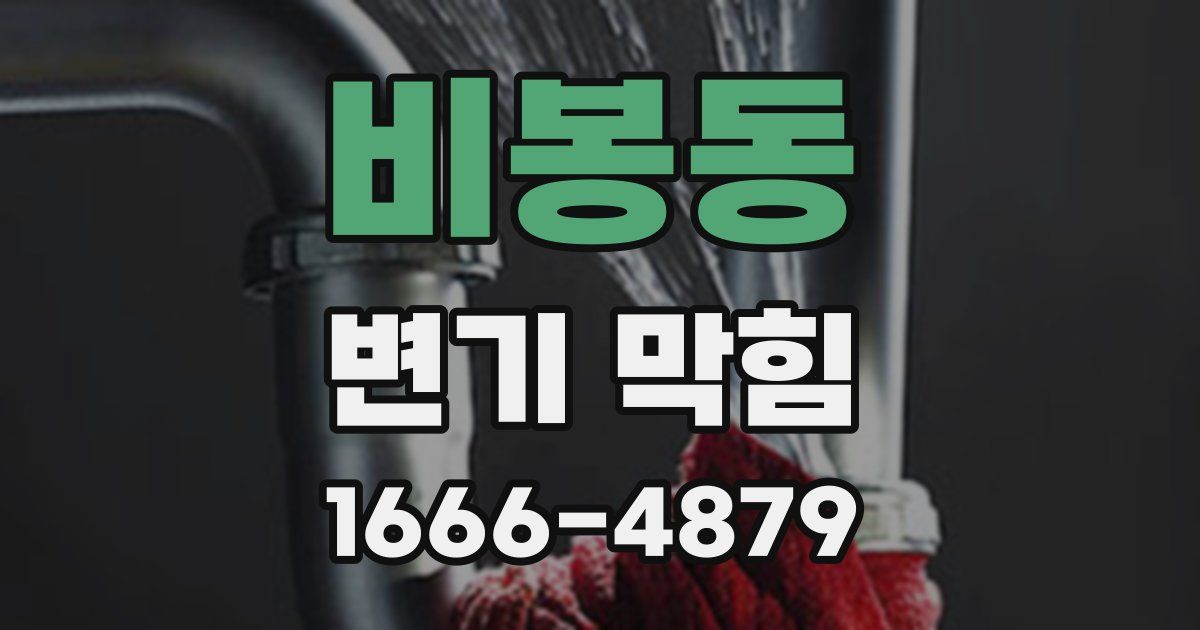 비봉동 변기 막힘