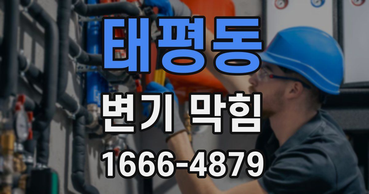 태평동 변기 막힘