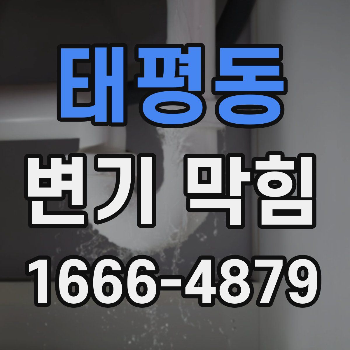 태평동 변기 막힘