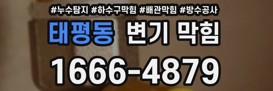 태평동 변기 막힘