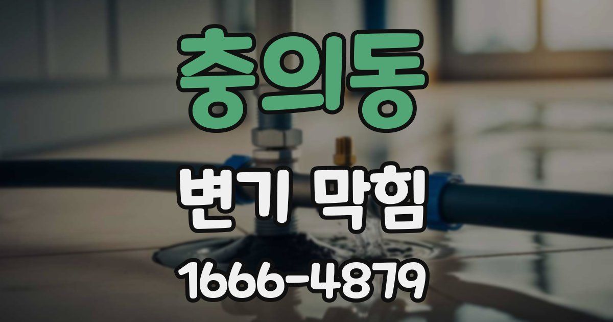 충의동 변기 막힘