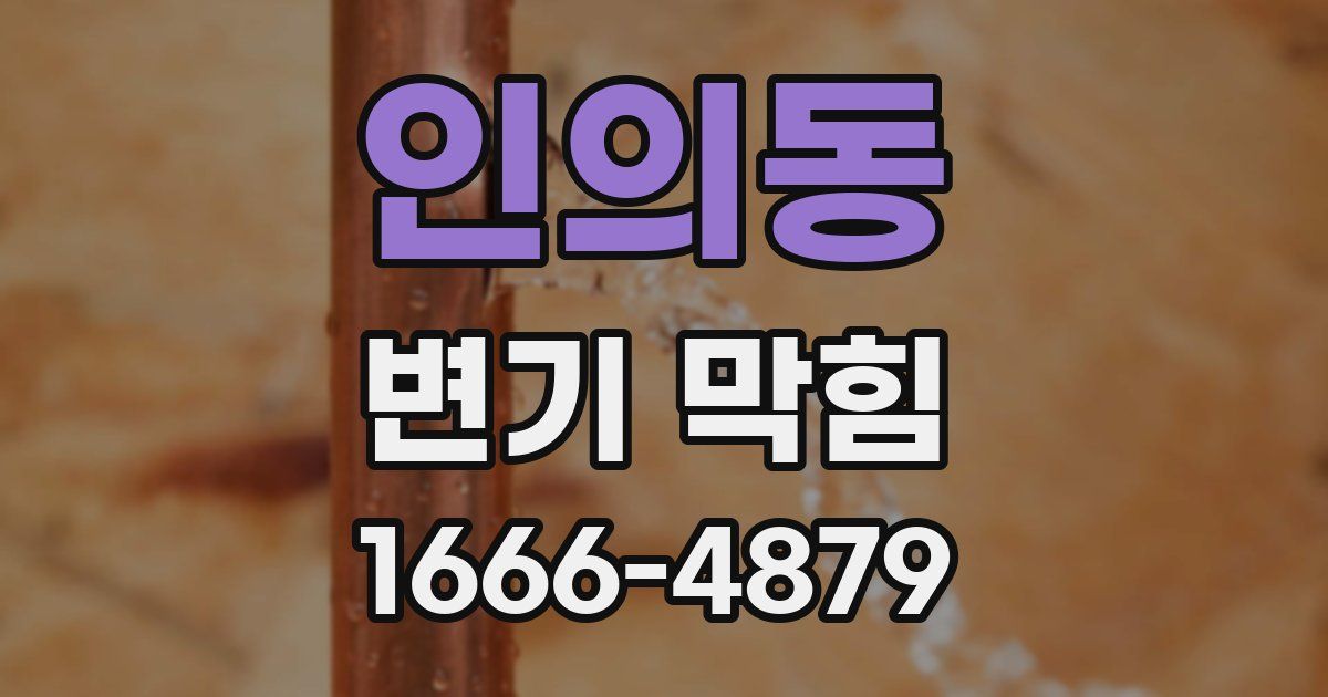 인의동 변기 막힘