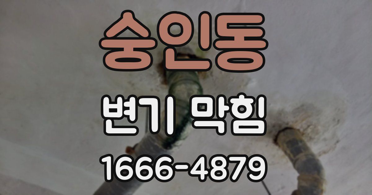 숭인동 변기 막힘