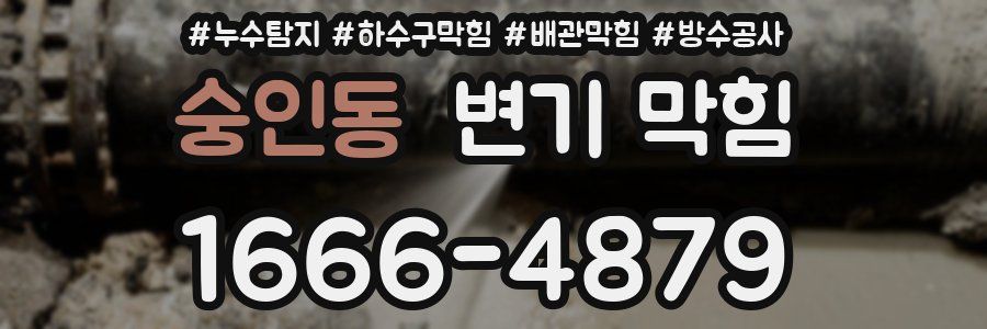 숭인동 변기 막힘