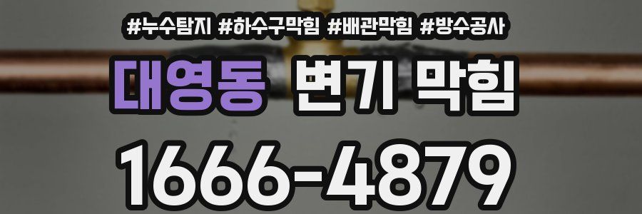 대영동 변기 막힘