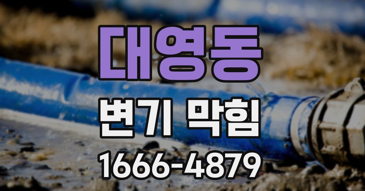 대영동 변기 막힘