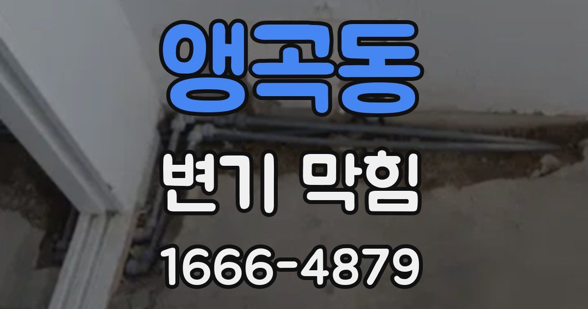 앵곡동 변기 막힘