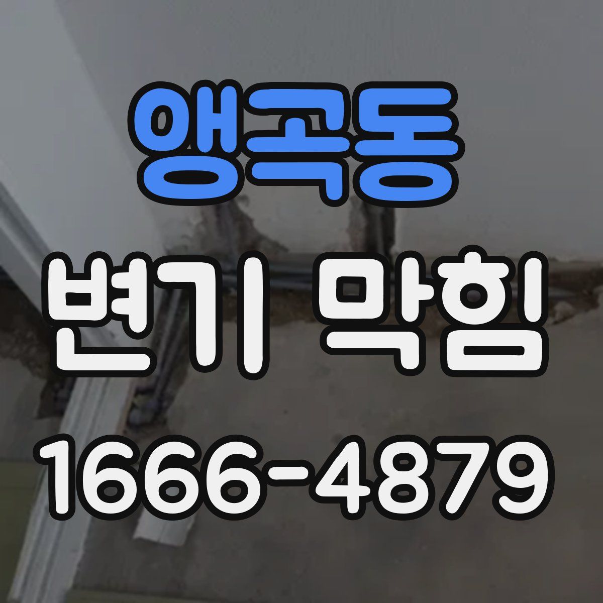 앵곡동 변기 막힘