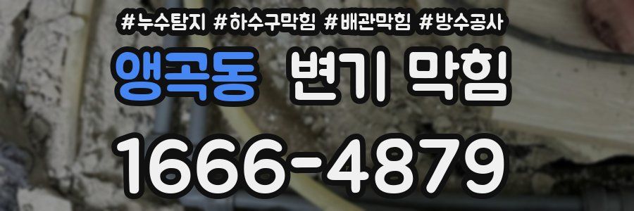 앵곡동 변기 막힘