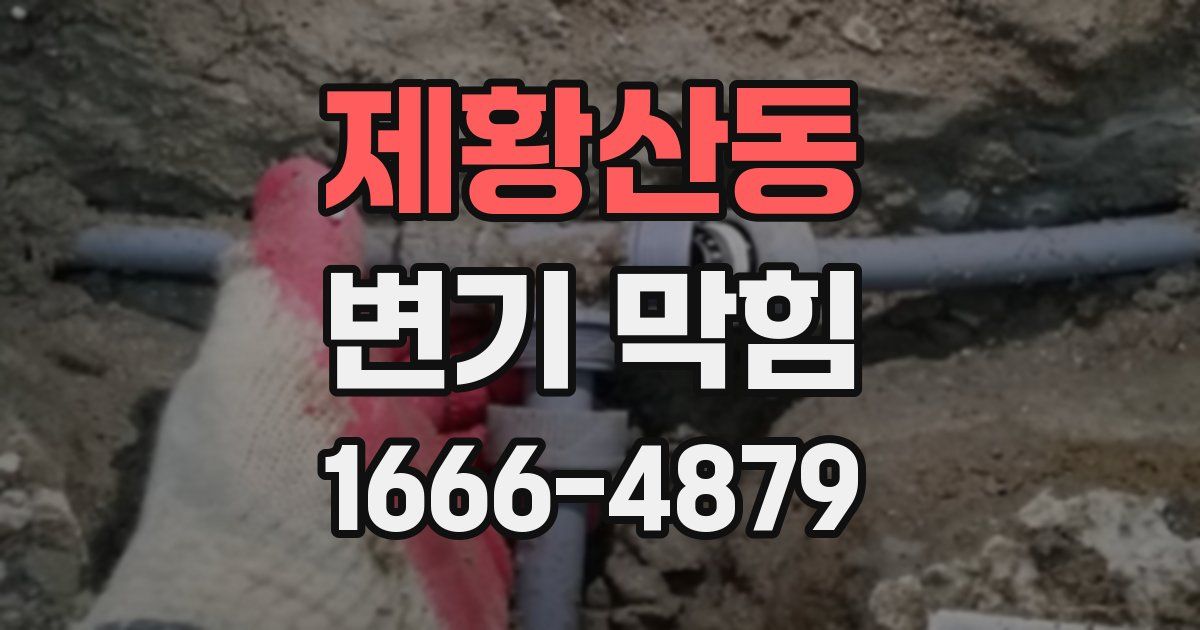 제황산동 변기 막힘