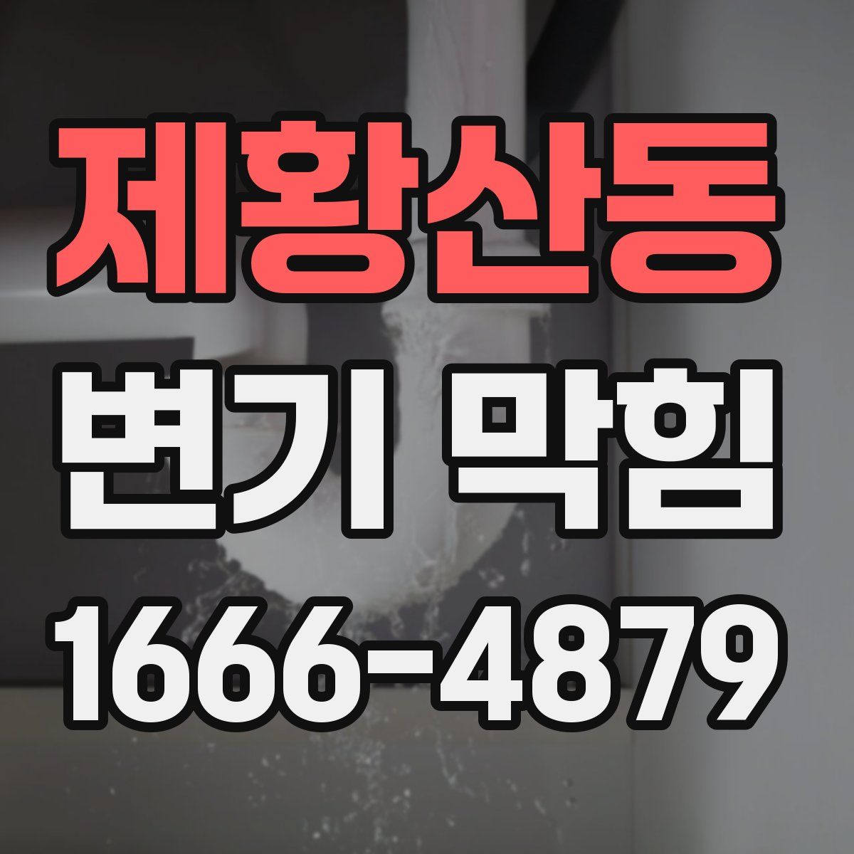 제황산동 변기 막힘