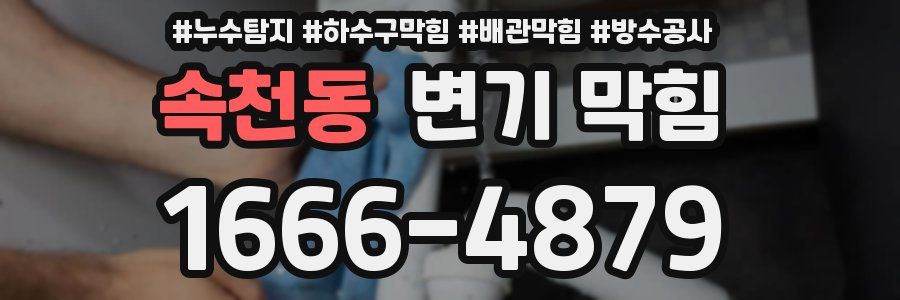 속천동 변기 막힘