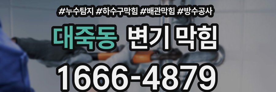 대죽동 변기 막힘