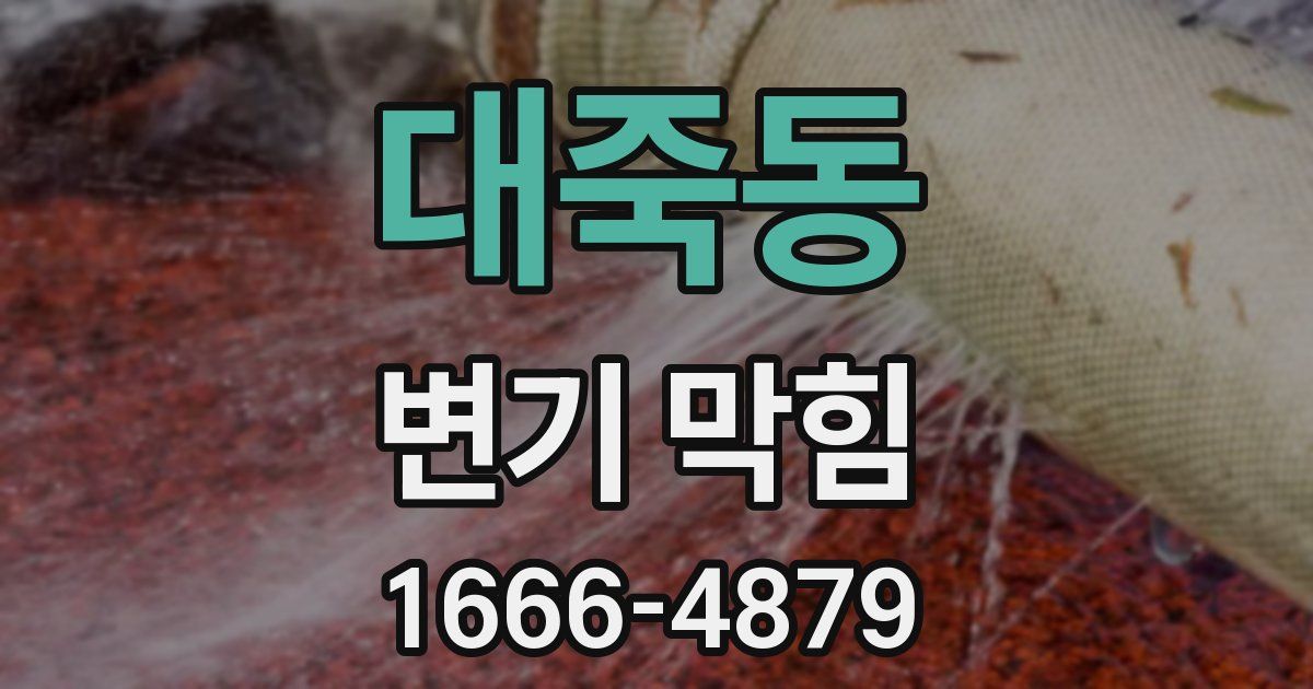 대죽동 변기 막힘