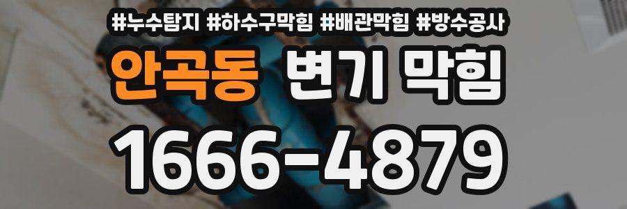 안곡동 변기 막힘