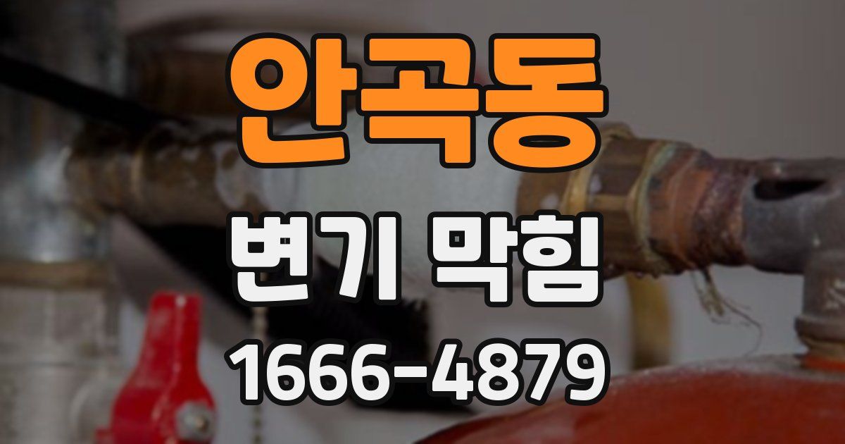 안곡동 변기 막힘