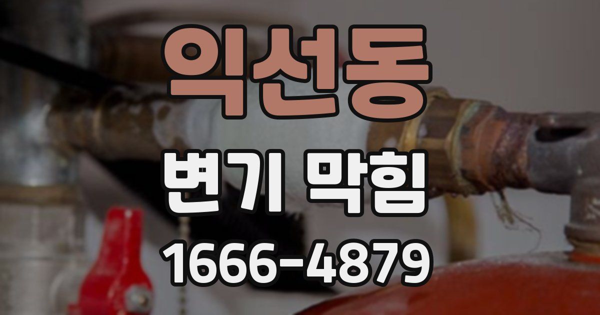 익선동 변기 막힘