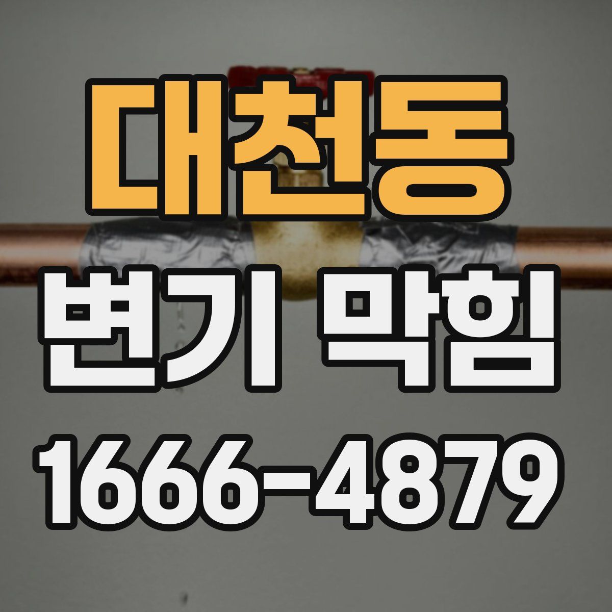 대천동 변기 막힘