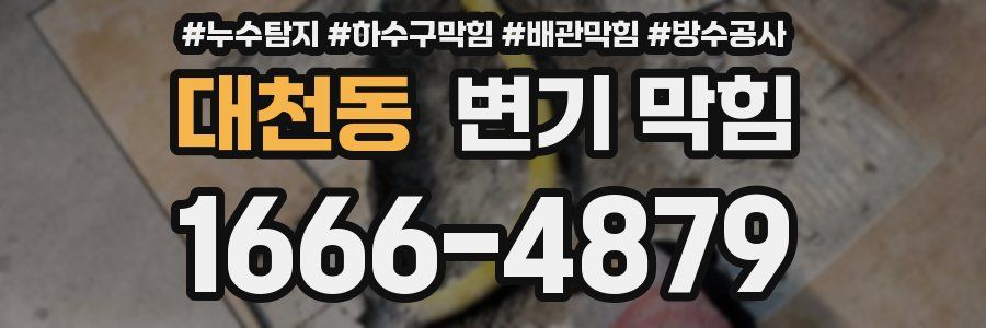 대천동 변기 막힘