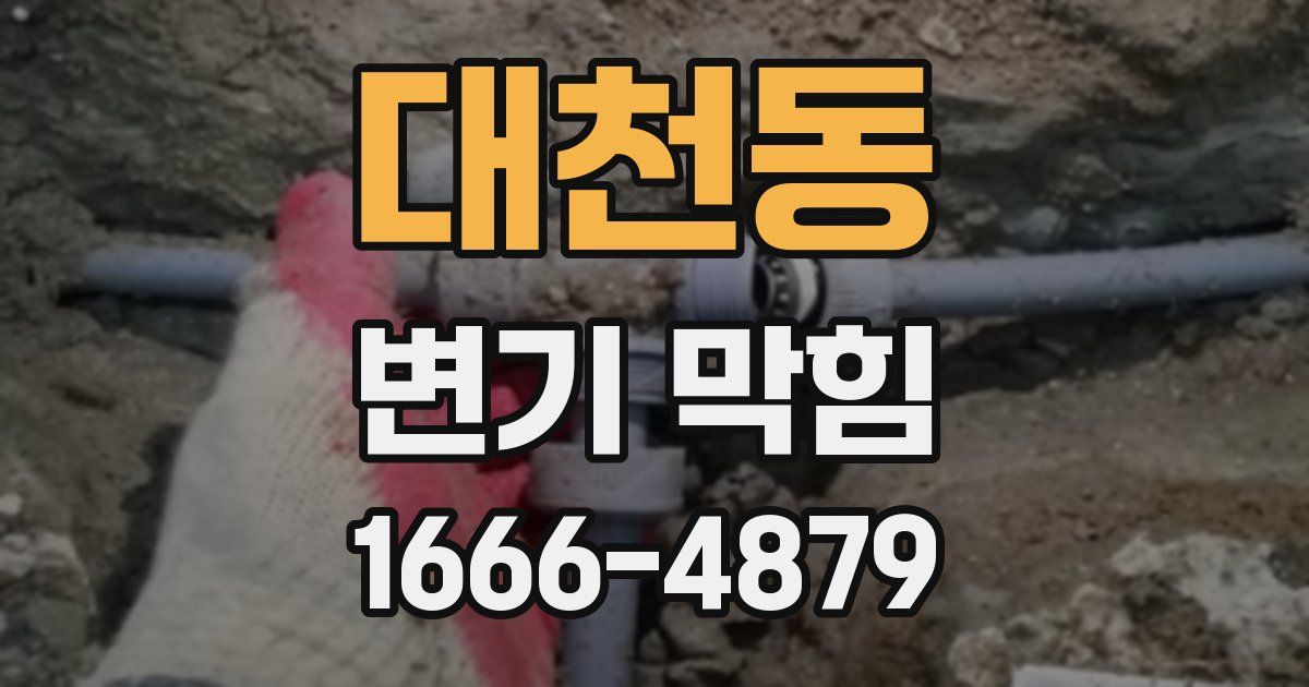 대천동 변기 막힘