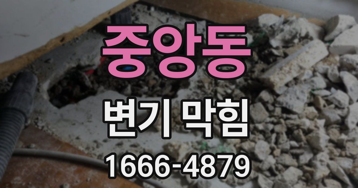 중앙동 변기 막힘