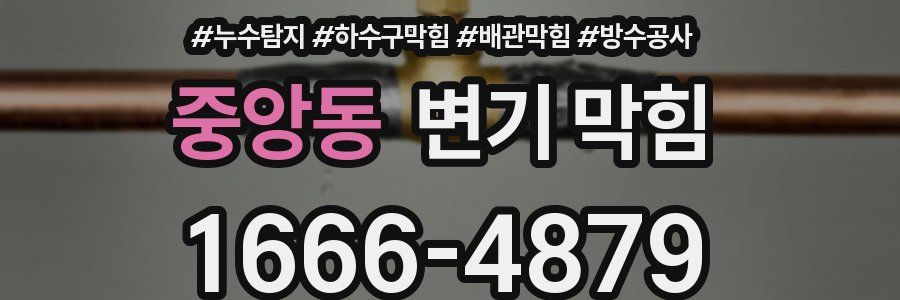 중앙동 변기 막힘