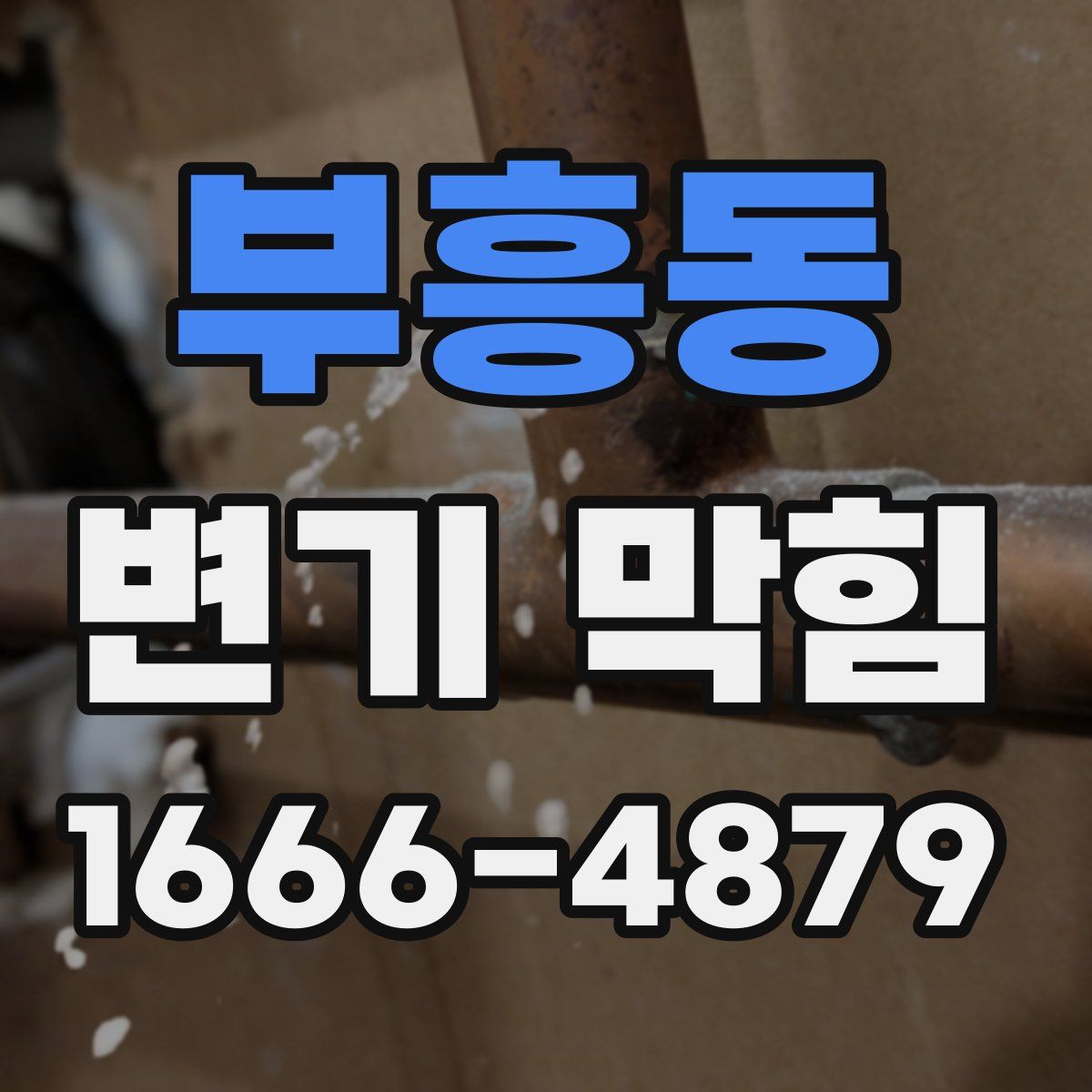 부흥동 변기 막힘