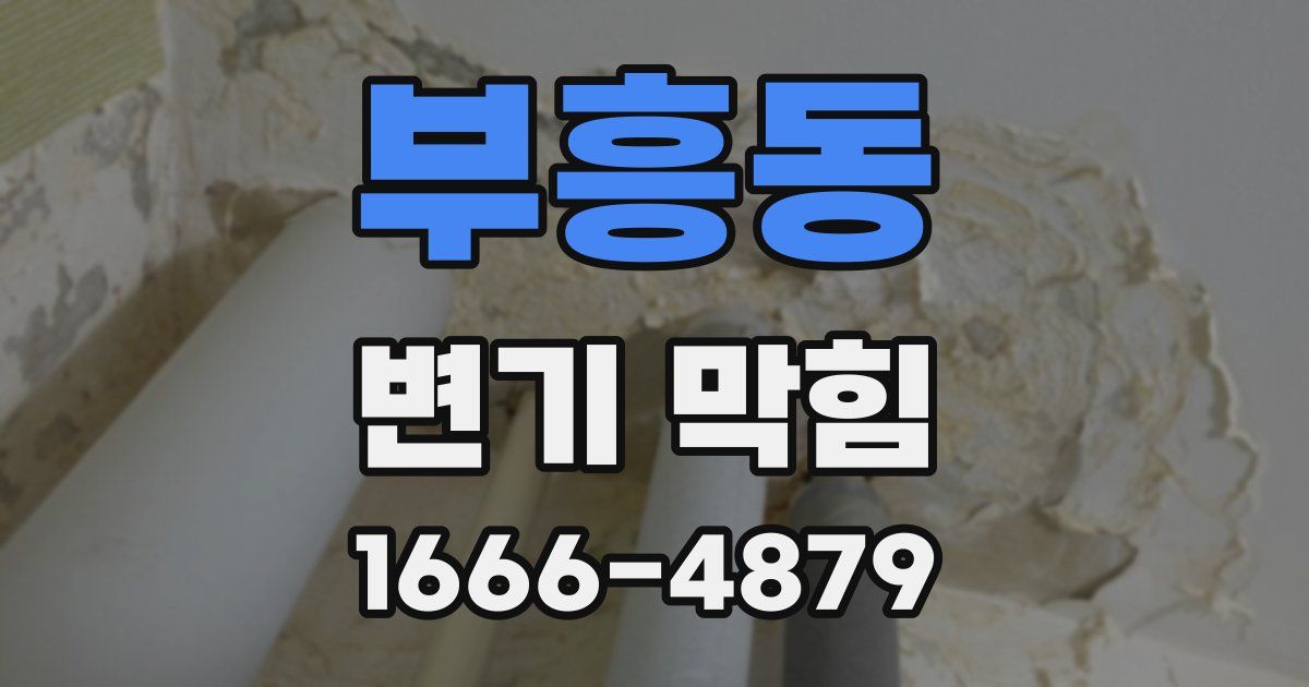 부흥동 변기 막힘