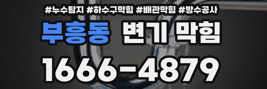 부흥동 변기 막힘