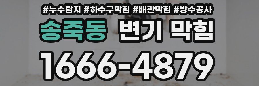 송죽동 변기 막힘