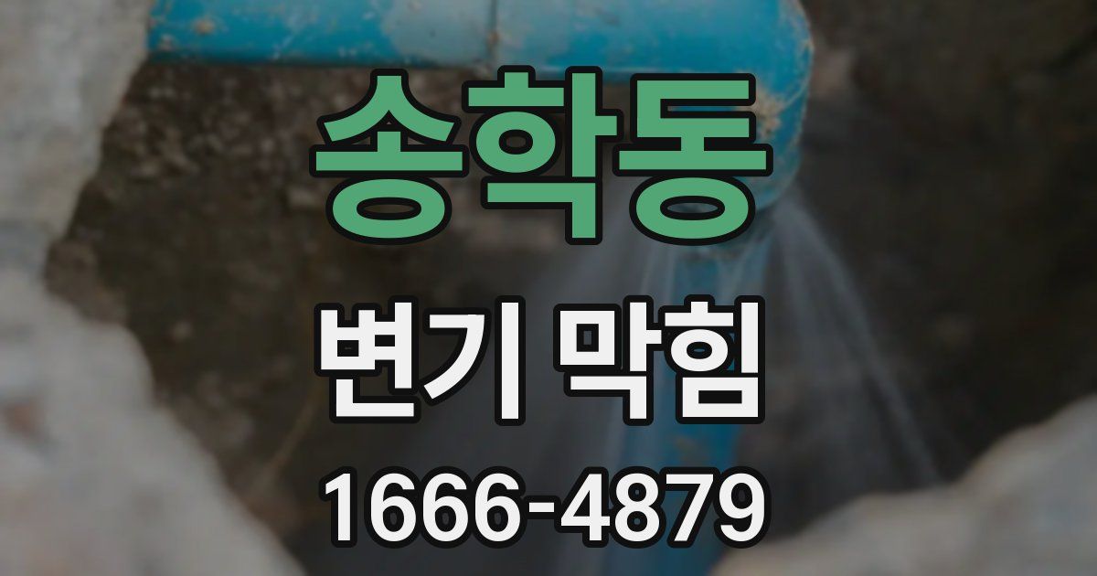 송학동 변기 막힘