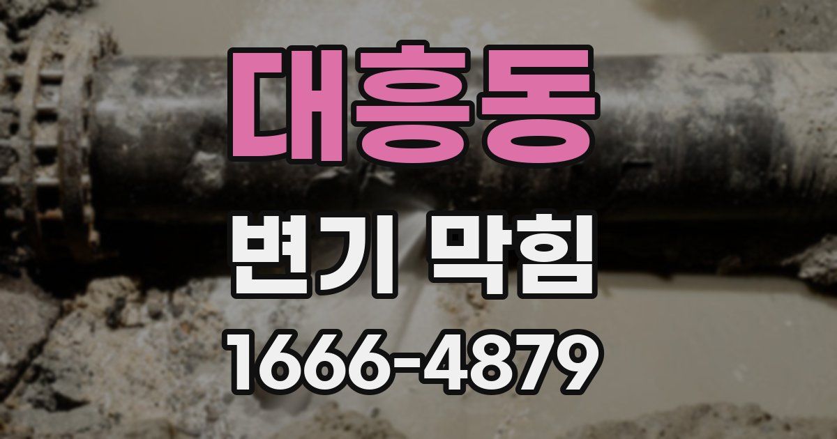 대흥동 변기 막힘
