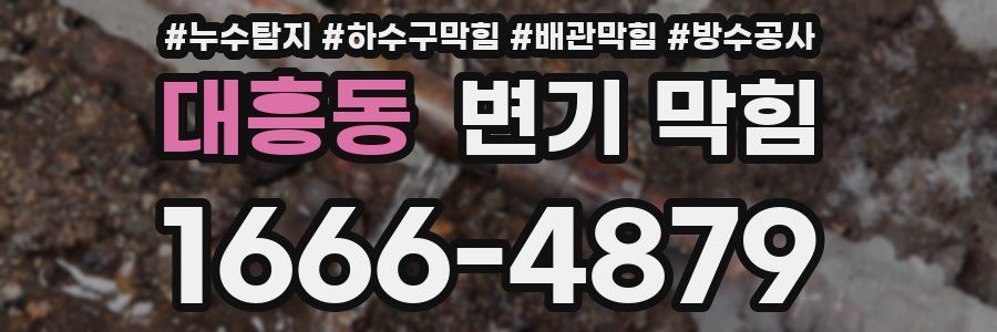 대흥동 변기 막힘