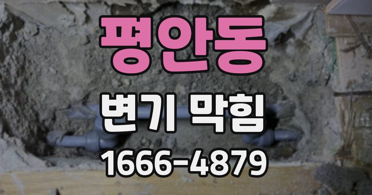 평안동 변기 막힘