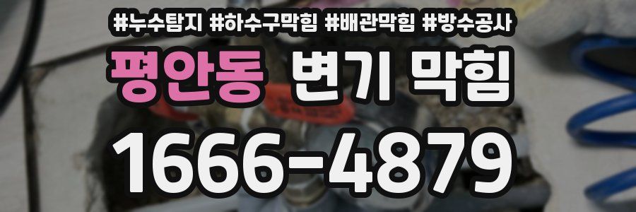 평안동 변기 막힘