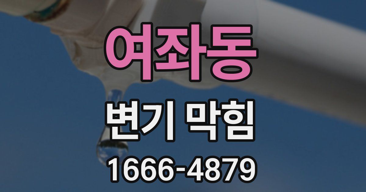 여좌동 변기 막힘