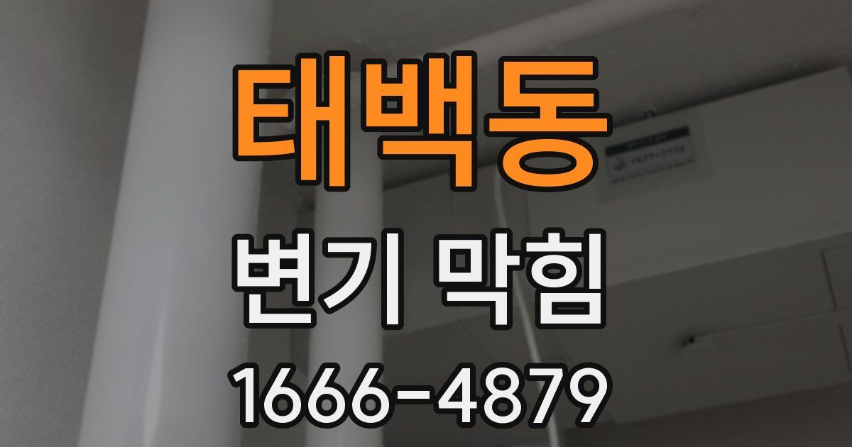 태백동 변기 막힘
