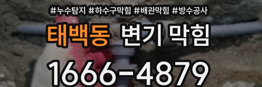 태백동 변기 막힘
