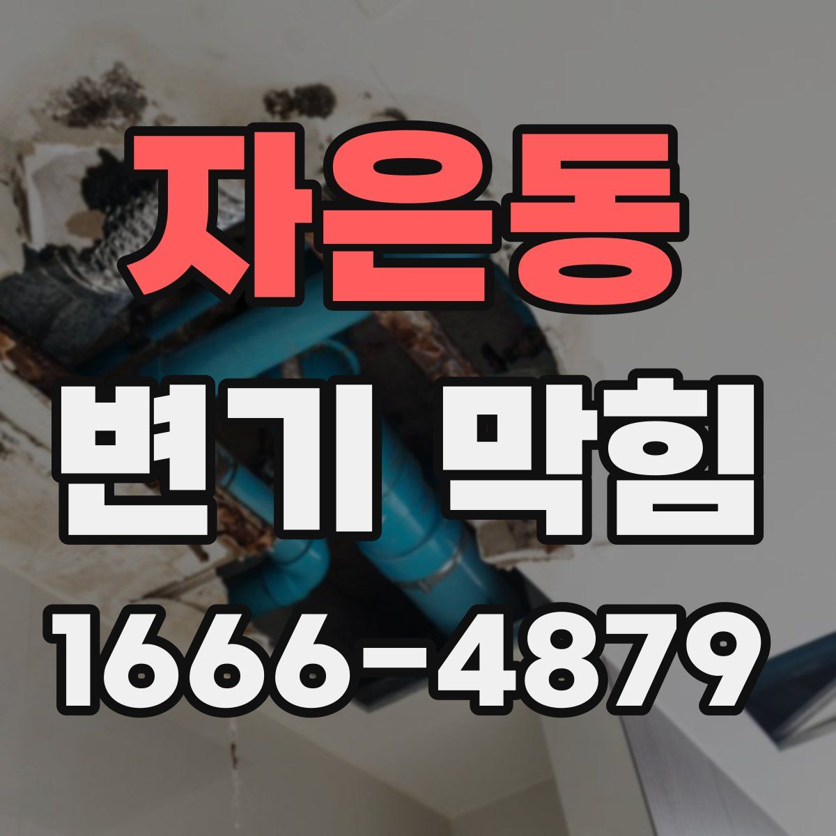 자은동 변기 막힘
