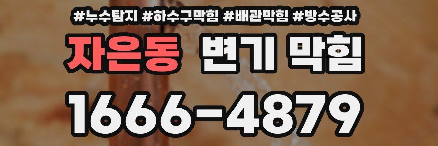자은동 변기 막힘
