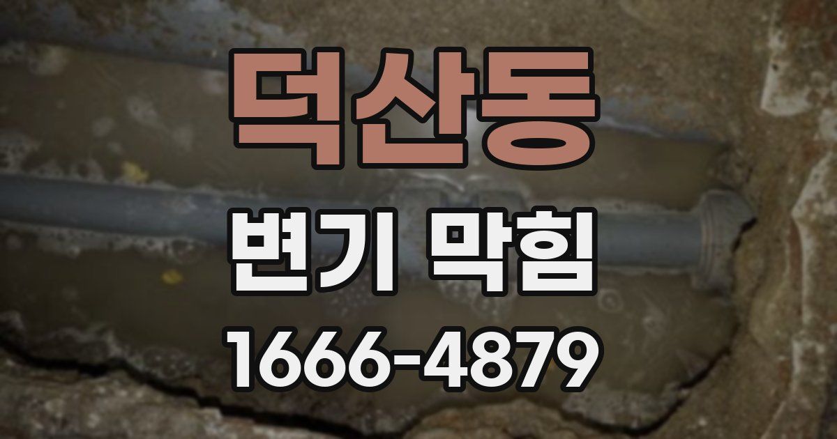 덕산동 변기 막힘