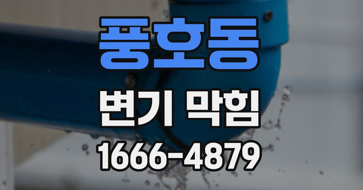 풍호동 변기 막힘