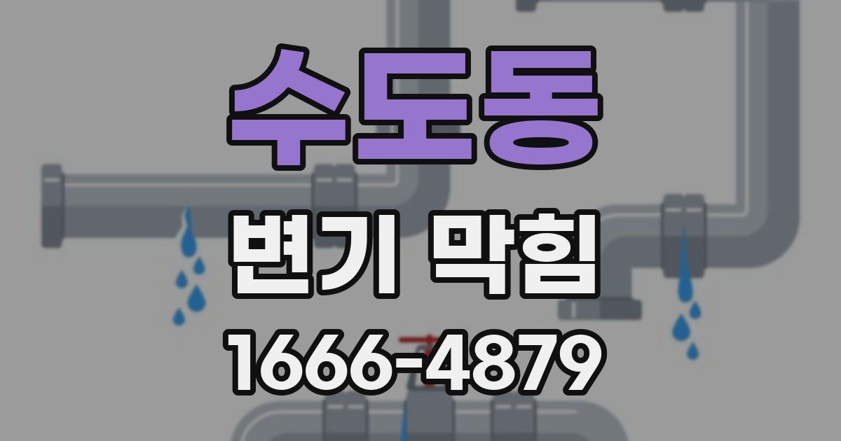 수도동 변기 막힘