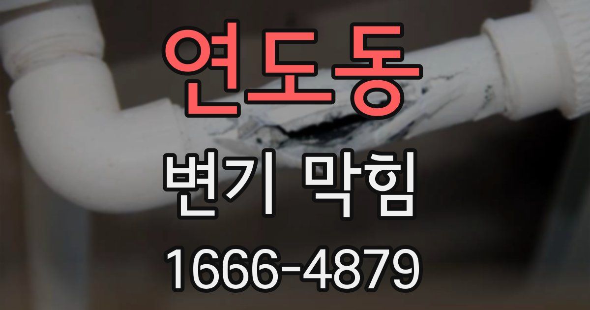 연도동 변기 막힘