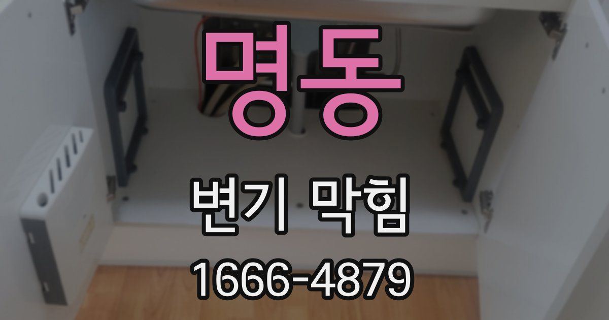 명동 변기 막힘