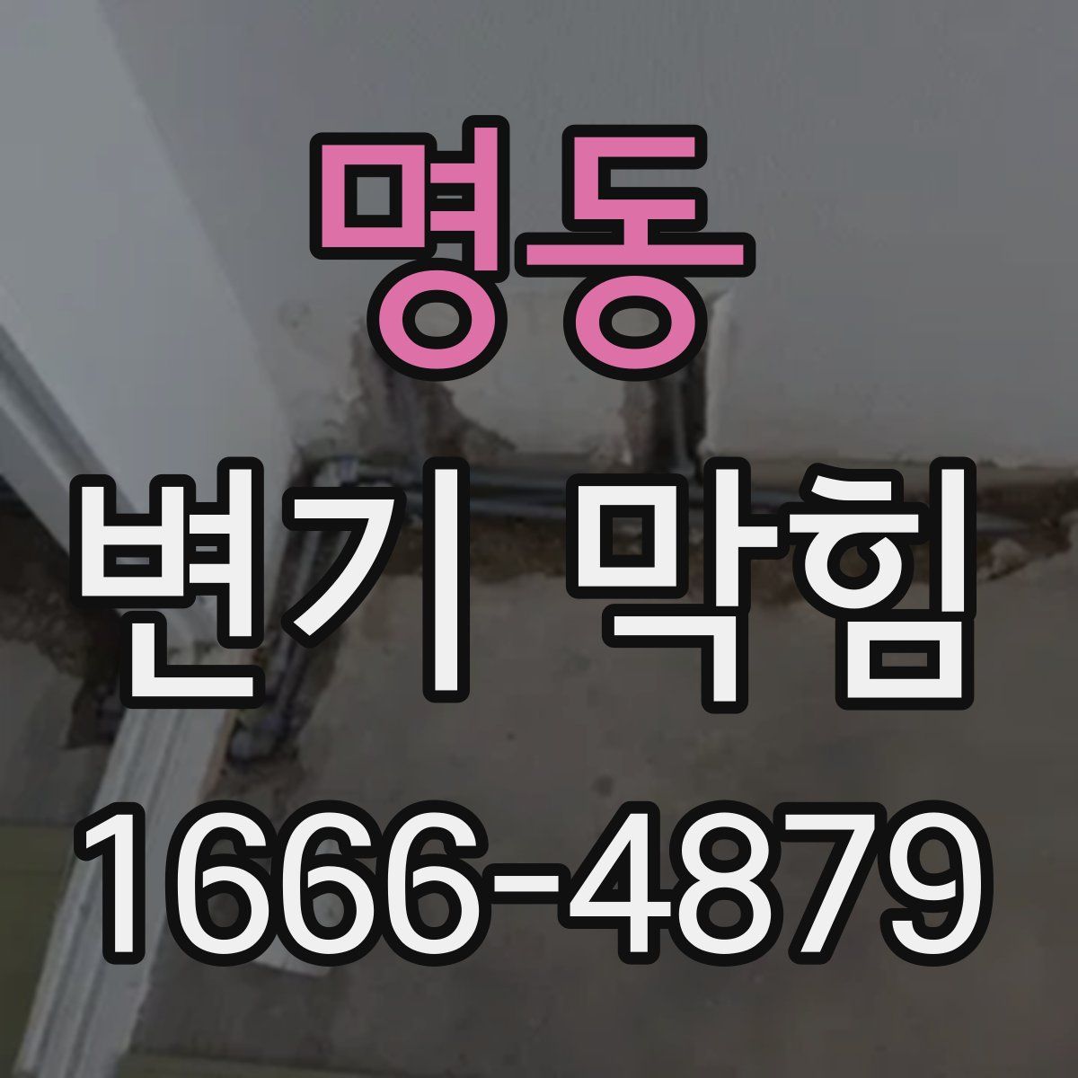 명동 변기 막힘